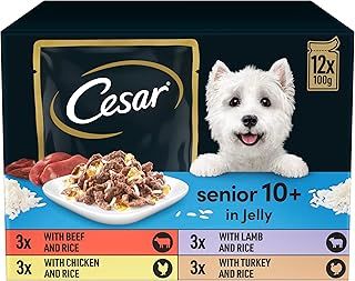 CESAR Senior 10+ Deliciously Fresh Wet Dog Food Pouches Aged Dogs, Mixed Selection in Jelly, Suitable for Senior Dogs Aged 10+, Pack of 4 (4 x 12 Pouches x 100 g)
