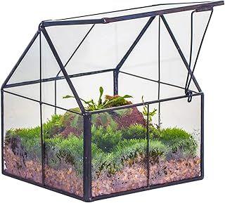 NCYP Mini Glass Geometric Plant Terrarium with Lid - 10.8x10.8x12.5 cm - Black Close Planter Pot for Small Succulents Air Plants - Handmade, Home Garden Office Tabletop Decor (Terrarium Only)