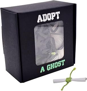OVYALCJ Adopt A Ghost Halloween Box - Mini Sponge Stuffed Doll, Creative Gift for Spooky Stories, Movies, and Halloween Decoration Lovers