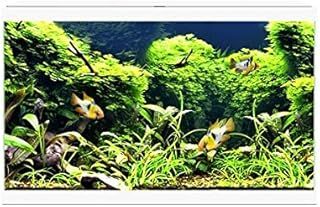 White Ciano Aqua 60 LED Tropical Glass Aquarium - Includes Filter, Lights & Heater 58L