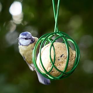 Window Bird Feeder with Strong Suction Cups HOMEBIRD Window Feeder with Removable Seed Tray For Bird Watching Bird Feeders for Small Birds Squirrel Proof Bird Feeder Box