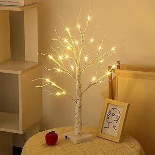 Lighted Birch Tree, 2FT/60CM LED Birch Twig Lights, Christmas Tree Light with 24 LEDs, Battery/USB Powered Birch Light Tree Indoor Warm White, Light up Twig Tree for Home Party Wedding Christmas Decor