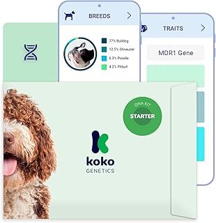 Koko Genetics - DNA Test for Dogs Starter (Breeds and Traits Reports) - Upgrades at no cost