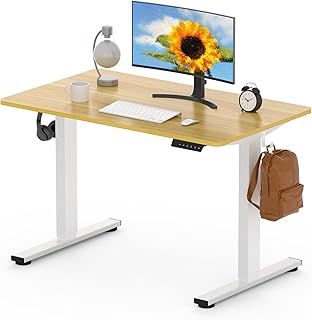 FLEXISPOT ONE PIECE Electric Standing Desk Height Adjustable Desk Sit Stand Desk with 4 Memory Smart Pannel and Backpack Hook for Home Office, 100 x 60cm Maple