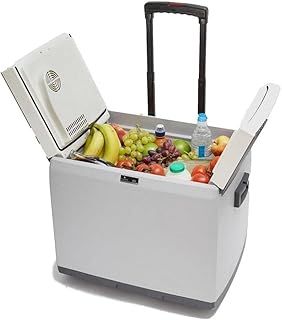 Hi-Gear 45 Litre Cooler with Integrated Handle & Wheels, 12V In Car Socket & 240V Mains Socket, Portable, Spacious, Wheeled, 45L Electric Cool Box, Camping, Travel, Picnics, Festivals, Grey