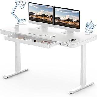 FLEXISPOT Comhar EW8W Electric Standing Desk Home Office Electric Height Adjustable Standing Desk Sit Stand Desk with 120 * 60cm White Wood Top (White Frame+White Wood Top)