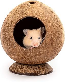 andwe Coconut Hut Hamster House Bed for Gerbils Mice Small Animal Cage Habitat Decor