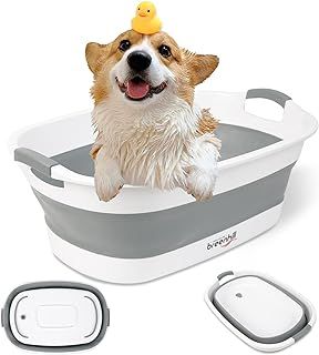 BREENHILL Collapsible Pet Bathtub with Water Drain Plug, Small Pets Portable Bath Tub for Puppy Small Dogs Cats, Portable & Space Saving Design, Grey