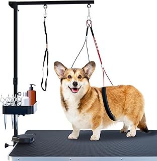 SHELANDY Foldable Pet Grooming arm with clamp for Large and Small Dogs - 35 inch Height Adjustable and Free Two No Sit Haunch Holder by Gravitis Pet Supplies (Black)