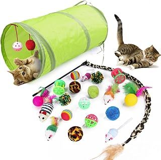 21Pcs Cat Toys Kitten Toys Collapsible Tunnel Interactive Feather Wand Ball Toy for Indoor Cats