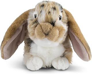 Living Nature Brown Dutch Lop Eared Rabbit Stuffed Animal Plush Toy | Fluffy Rabbit Animal | Soft Toy Gift for Kids | Boys and Girls Stuffed Doll | Naturli Eco-Friendly Plushies | 26 cm