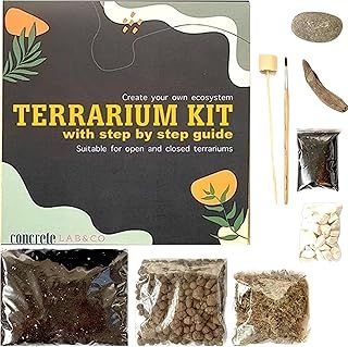 Terrarium DIY Kit for Succulents and Cacti Plants with Step by Step Guide Includes Soil Charcoal Pebbles Sphagnum Moss white Stones Driftwood & Brush (Small)