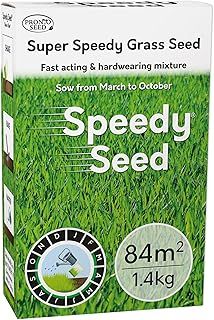 Premium Grass Seed 1.4 kg - Fast Growing, Hard-Wearing - Covers 84m² for Lawns & Overseeding - DEFRA Approved & Tailored for UK Climate (1.4kg)