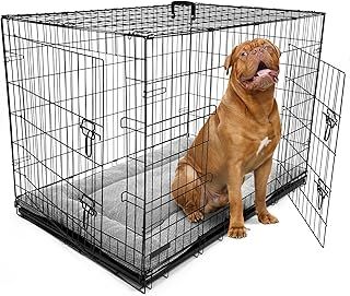 DogCrates+ Extra Extra Large Foldable Dog Crate with Bed, 2 Doors Design, Non-Chew Metal, Removable Tray, 46-Inch Black