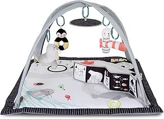 Red Kite Play Gym Arctic Dreams Padded Play Gym with Hanging Toys & Baby Safe Mirror (49cm x 79cm x 79cm)