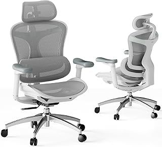SIHOO Doro C300 Ergonomic Office Chair with Ultra Soft 3D Armrests, Dynamic Lumbar Support for Home Office Chair, Adjustable Backrest Desk Chair (White)