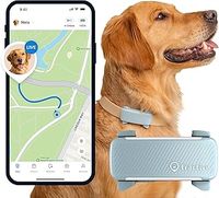 Tractive GPS Dog Tracker | 2025 Edition | Market leader | Real-time location tracking | Escape Alerts | Activity Monitoring | Health Alerts | Bark Monitoring (Mint)