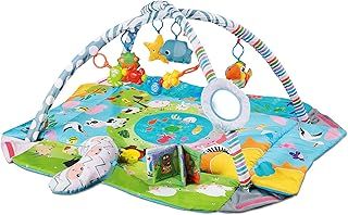 CH91615B Baby Play Mat, New Born to Toddler Ball Pit, 5 in 1 Activity Gym.5 Toys Plus Mirror and Pillow,Musical Book, Suitable from Birth