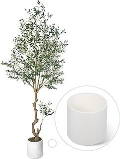 CQURE 240CM Artificial Olive Tree, Tall Faux Olive Plant Indoor Potted Fake Olive Leaves with Natural Wood Trunk and Lifelike Fruits for Home Office Living Room Decor （Includes White Pot）