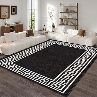 Greeky Rug – Large Washable Non-Slip Carpet for Living Room, Bedroom, Lounge, Dining, Kitchen Fluffy Thick Soft Modern Indoor Floor Rugs (Black & White, 120x170 cm)