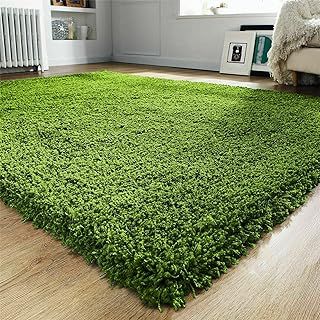 Modern Extra Thick Shaggy Rug Large Area Rugs Soft Rugs Living Room Bedroom Carpets Floor Mat (Green, 60 x 110cm)