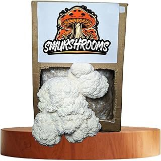 Lions Mane Mushroom Grow Kit (Hericium erinaceus) - | Grow Your own |Fresh Mushrooms | Delicious with Soy Sauce | Lions Mane Supplement | Nutrition Geeks |1.8KG