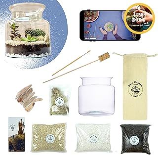 Terrarium DIY Kit for Cactus & Succulents Including Glass Jar and Step by Step Tutorial Film