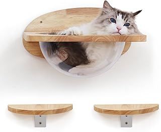 Cat Wall Furniture Set, Rubber Wood, Transparent Capsule Cat Wall Shelves with 2 PCS Pedals - Premium Kitty Bed for Sleeping, Playing, Climbing, and Lounging - Easily Holds Up to 16 Kg