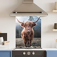 Premium 60 cm x 75 cm Highland Cow Glass 6mm Kitchen Splashback Heat Resistant Toughened Polished Edges - Back Splash Back Coloured Hob Painted Tempered Splashback