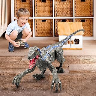 Remote Control Dinosaur Toys - (Rechargeable) 2.4Ghz RC Walking Robot Velociraptor with LED Eye, Roaring Sound, Shaking Head & Tail, Jurassic Dino Electronic Toy