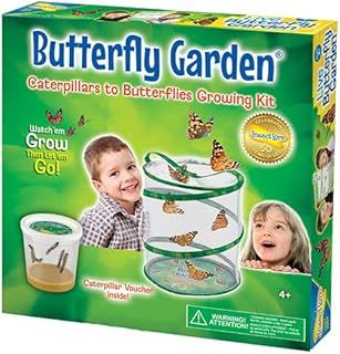 Insect Lore Butterfly Garden (Packaging May Vary)