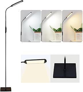FLOOH LED Floor Lamp for Living Room Lash Light for Eyelash Extensions Lash Lamp Stepless Adjustable 3000k-6000k Colors & Brightness Standing