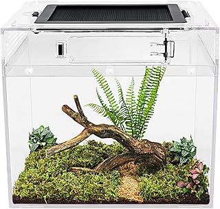 Mini reptile tank（PC）,8" x 8"x 7" vivarium with Top Sliding Door Screen Ventilation for Small Fish,Insect,Snail,Gecko，Tarantula,Bearded Dragon,Jumping Spider,Stick Insect