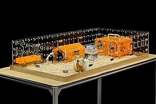 GuineaLoft™ Acrylic Cage (Model-A) - Large 4x2ft Open Cage for Guinea Pigs, Bunnies, Quails, Hedgehogs, Roaming Small Animals, DIY Extendable - Visit the Guinea Loft Store to See It All
