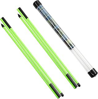 Rhino Valley Golf Alignment Sticks - Collapsible Golf Practice Rods for Aiming, Putting, Full Swing Trainer, Posture Corrector with Clear Tube Case, Portable Golf Training Equipment