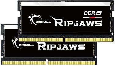 G.SKILL Ripjaws DDR5 SO-DIMM Series DDR5 RAM 32GB (2x16GB) 5200MT/s CL38-38-38-83 1.10V Unbuffered Non-ECC Notebook/Laptop Memory SODIMM (F5-5200S3838A16GA2-RS)