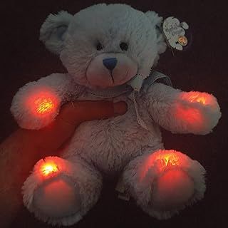 Rem Bear - Detects Static EMF Meter Kii K-ii K2 Detector Pod Ghost Hunting Static Trigger Paranormal Equipment