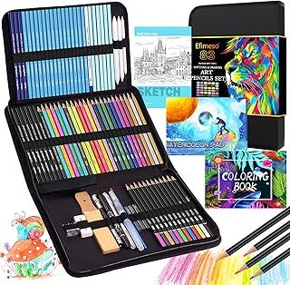 83 Colouring Pencil Set, Drawing Pencils Art Supplies with Charcoal Graphite Pencils,Sketching Pencils for Adults Artist
