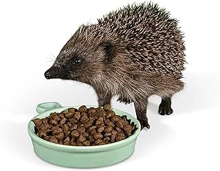 Jacobi Jayne Ceramic Hedgehog Food and Water Bowl Hedgehog Dish - Weather Resistant Hedgehog Feeding Bowl, Specially Designed for Hedgehog Comfort