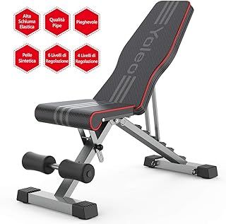 YOLEO Adjustable Bench, Folding Gym Bench/Weight Bench Multifunction for Whole Body and Home and Gym Workout, Version 2024