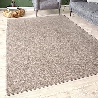 Low Pile Area Rugs – Modern Indoor Rugs for Living Room, Bedroom, Dining Room, Entryway – Non-Shedding (Beige, 60x110 cm)