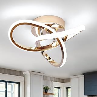 EIDISUNY LED Ceiling Light Interweave Modern Creative White Black Ceiling Lamp for Hallway Office Unusual Lamps Bedroom Kitchen Living Room LED Ceiling Light Warm White 22W 25cm (Black)