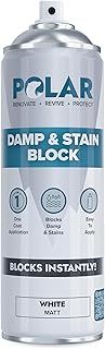Polar Damp & Stain Block Spray - Matt White - 500 ml - Anti Mould - Stops & Removes Mould & Stains - Stain Blocker paintFor Interior Walls & Ceilings - Wood, Plaster, Cement