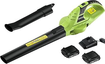 bigzzia Cordless Leaf Blower with 2×20V Li-ion Battery, Electric Garden Blower, 2-Speed, Detachable Tubes, 3.3 IBS Lightweight, 209CFM Blower for Leaf Dust Snow