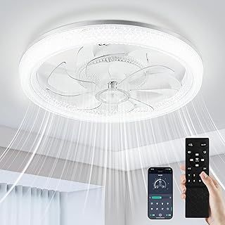 Ceiling Fans with Lights, 48cm Modern Smart Ceiling Fan Lights with Remote Control, 6 Speeds Quiet Dimmable Low Profile Small Fan Lights Ceiling for Bedroom Living Room Dining Room