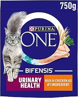 Purina ONE Adult Dry Cat Food Urinary Health, Rich in Chicken 750g , Pack of 4