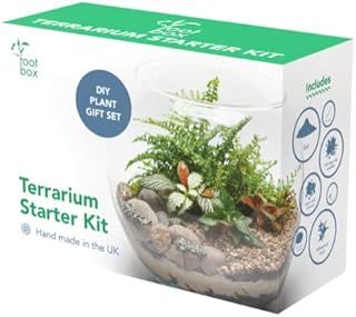 Root box |CLEARANCE Large Plant Terrarium Kit in scented giftbox | Succulents, Bonsai, Fittonia, Cactus | Unique DIY GIFT for Summer Anniversaries Birthdays Employees
