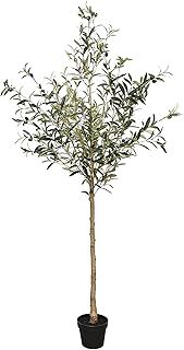 WINSOON Olive Tree Artificial 6FT Faux Olive Trees Indoor Outdoor Topiary Silk Tree Plants with Wood Trunk and Lifelike Fake Fruits for Home Office Decor