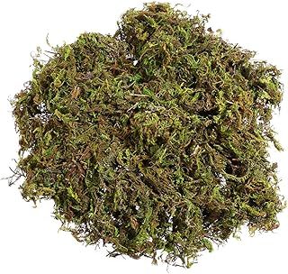 WINOMO Artificial Moss Fake Green Moss Decorative Fake Bulk Moss for Plant Garden Lawn Crafts Decoration 60g/pack