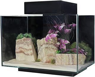 Aqua One PLATFORM 21 Aquarium Fish Tank 40cm 21L